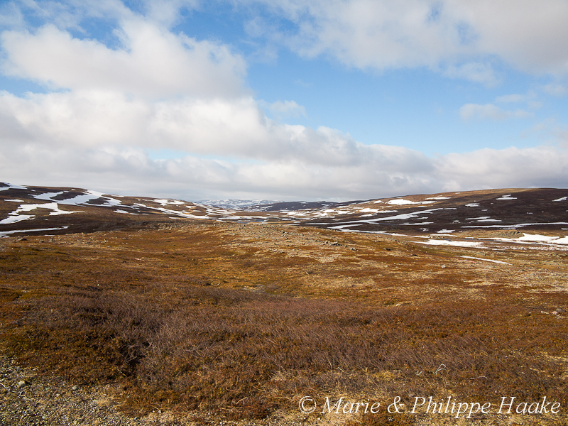 Finnmark 1107.jpg - Le long de la peu fréquentée route 98, en direction du Porsangerfjord (Norvège, juin 2012)